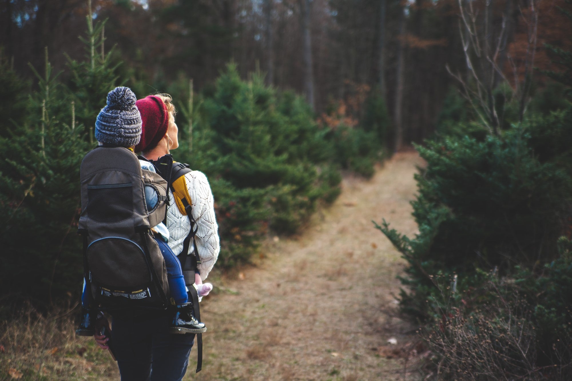 hiking in nature while carrying a toddler; the environment is one of our core values